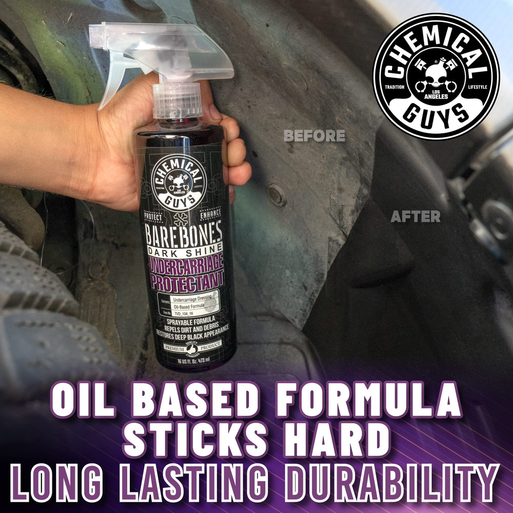 Chemical Guys Bare Bones Dark Shine RV exterior quick refresh for large surfaces