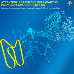 Cheyia serpentine belt compatibility ensures proper pulley alignment for GM V8s.