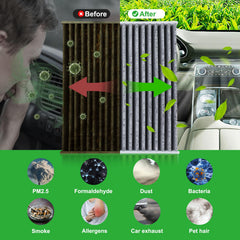 Dacall 4-layer filtration system neutralizes fumes and traps pollen