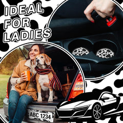 DaisyInner easy installation guide demonstrates quick car upgrade.