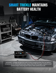 DC HOUSE 12V 5A charger 0V lifepo4 activation revives deeply discharged packs.