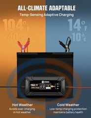 DC HOUSE dual compatibility handles lead-acid and LiFePO4 batteries.