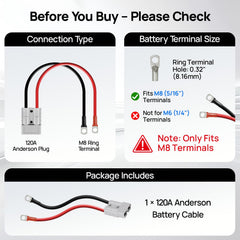 DC HOUSE silver-plated terminals improve conductivity during charging