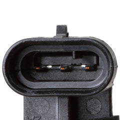 Delphi SS10206 wiring-harness closeup underscores secure electrical contact.