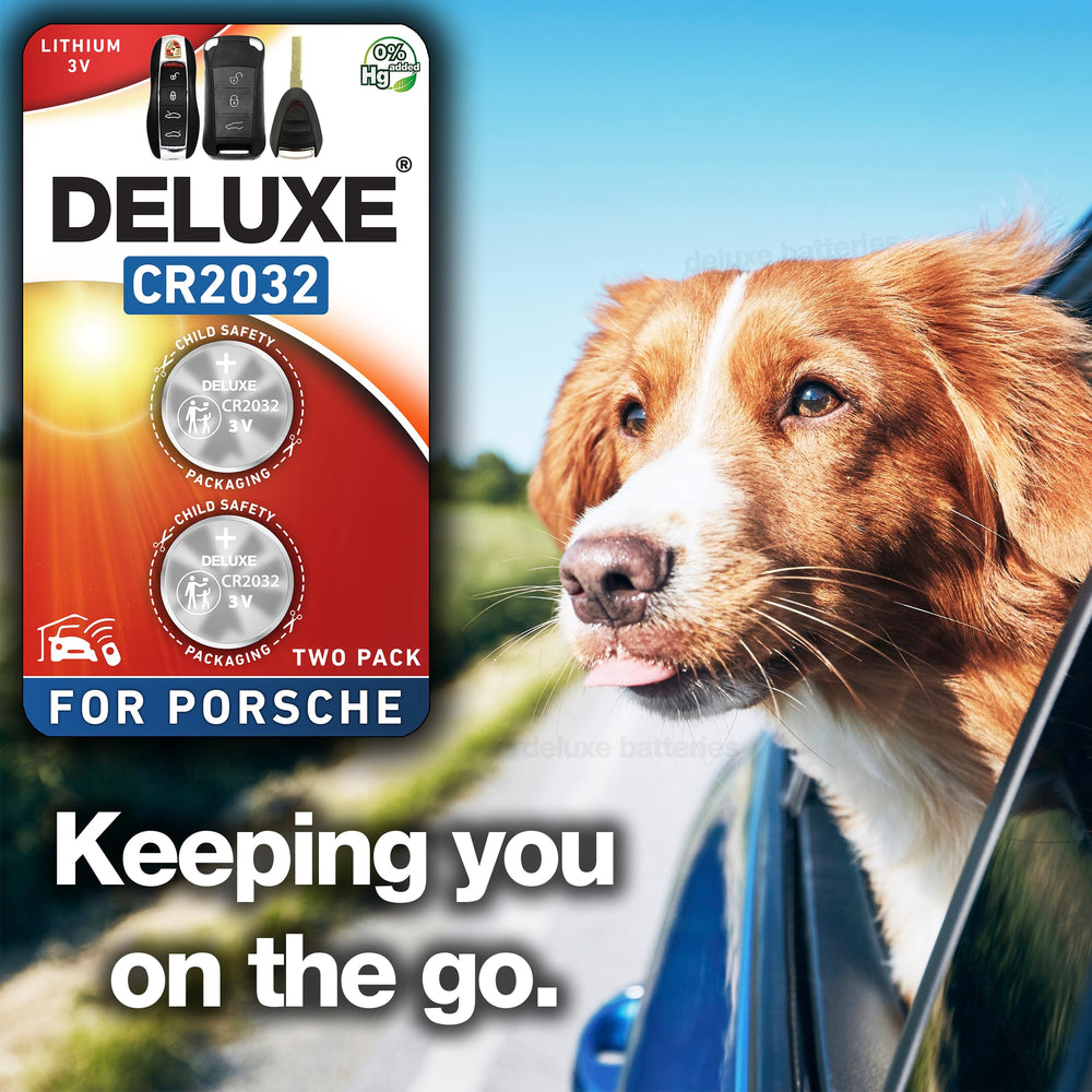 Deluxe Batteries brand label on pack for trusted power.