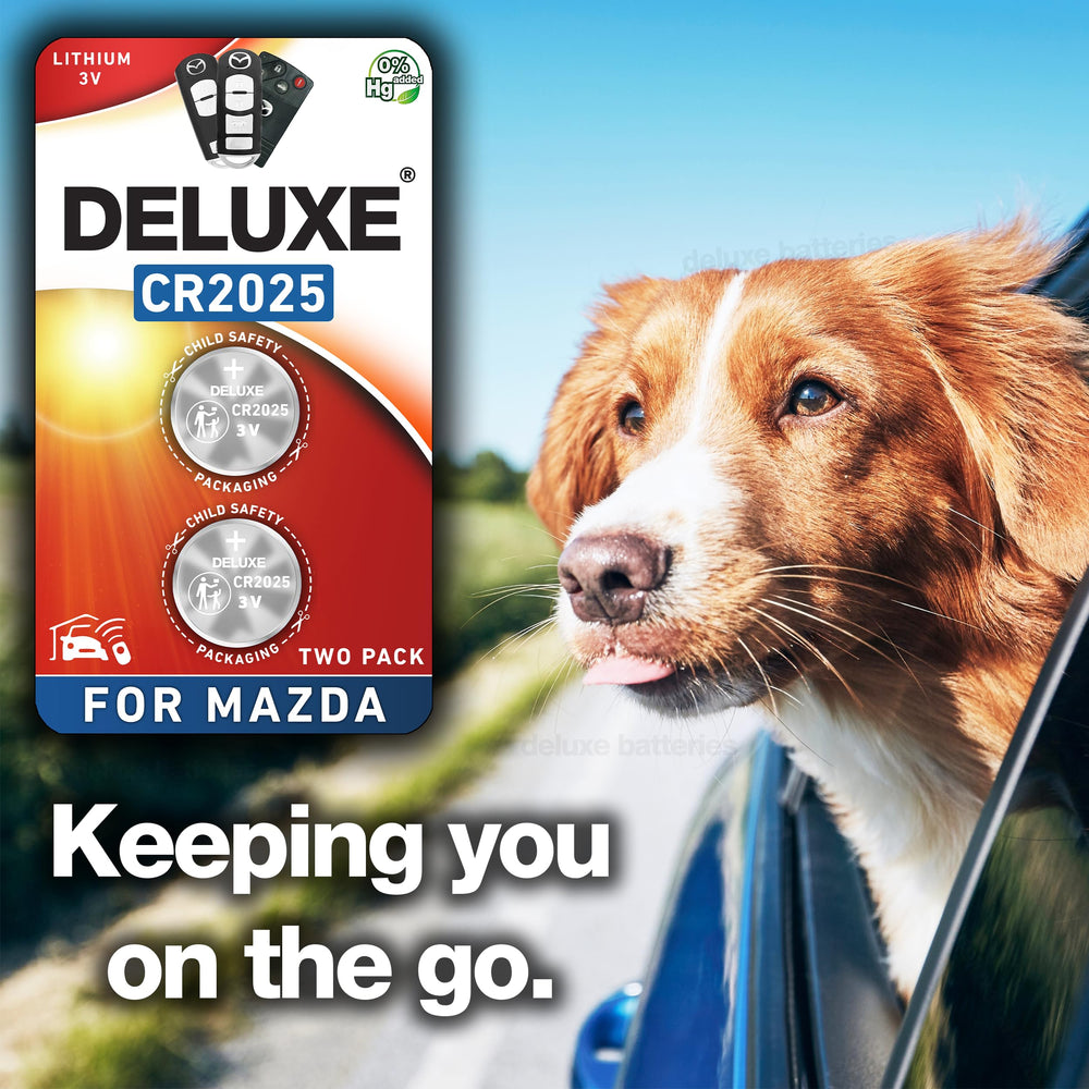 Packaging preview showing two batteries and brand label from Deluxe Batteries