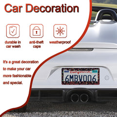 DGDRHZ license frame anti-fade coating detail preserving color