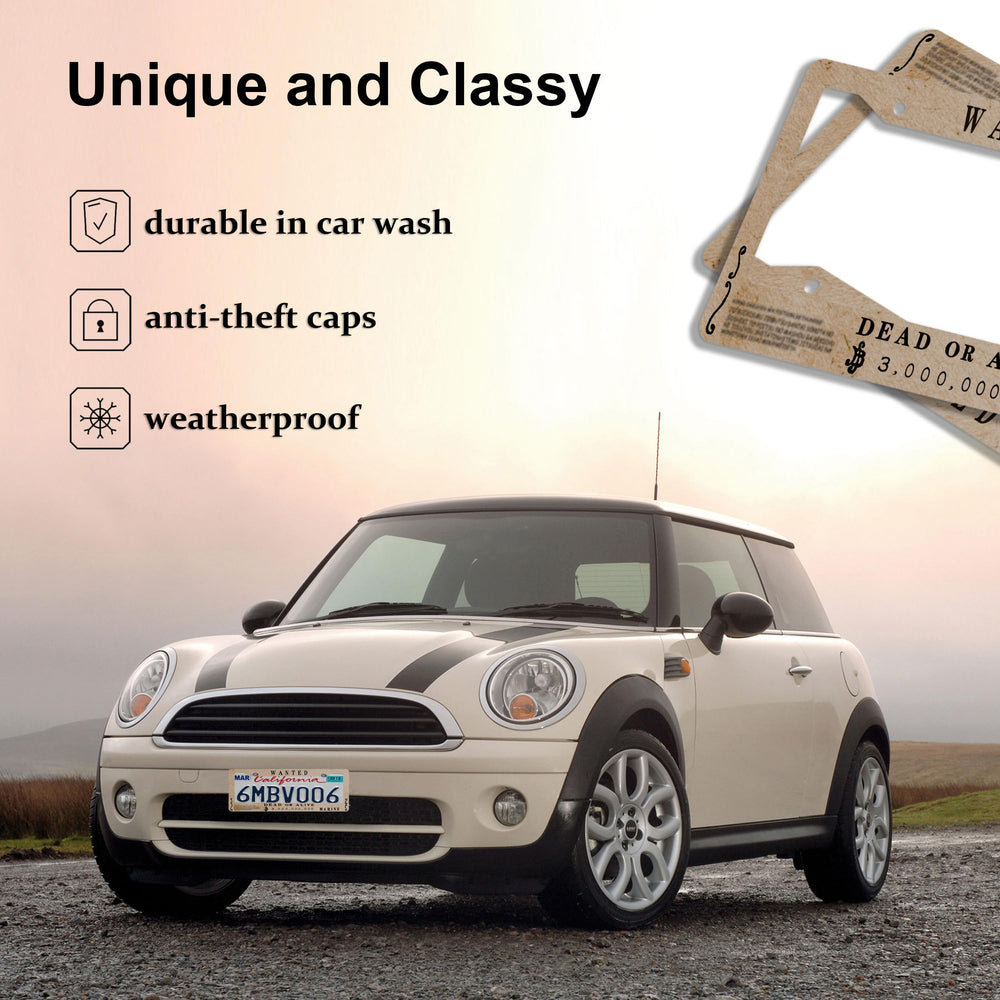 DGDRHZ US standard size 12.2 by 6 inches fits most vehicles securely