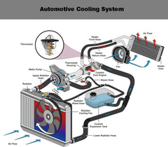 DINGTONG Sunfire thermostat ensures prompt response and reduced overheating risk.