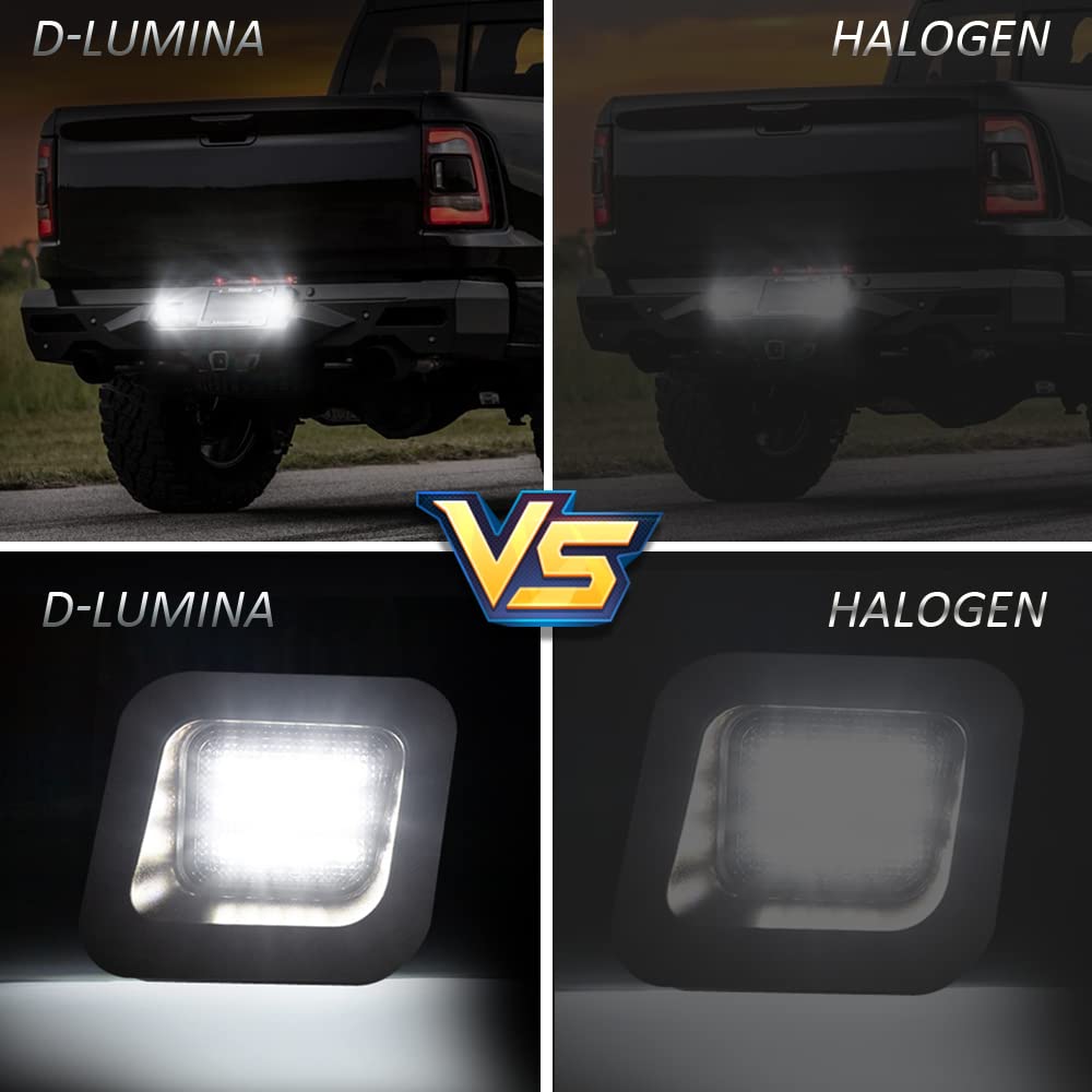 D-Lumina smoked-lens license plate light on the left side improves illumination.