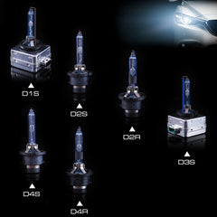 DMEX D1S compatibility detail highlights plug-and-play base.