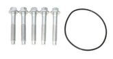 Dorman 926-127 rear axle bolt kit ready to secure the hub assembly on Ford Transit
