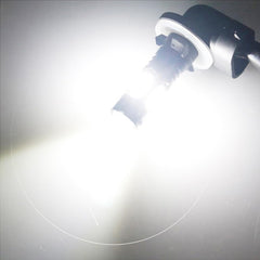 DSkoiph 6000K cool-white light sharpens contrast on dark trails.