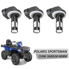DSkoiph 3-pack packaging includes bulbs for quick installation.