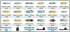 Dsnaduo brake bleeder screws array showcases SAE and metric options for versatile repairs.