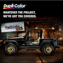 Dupli-Color Wheel Coating Matte Bronze protection against brake dust and solvents