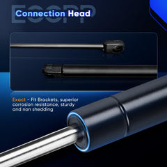 ECCPP seals and piston rod detail emphasizes vibration resistance.