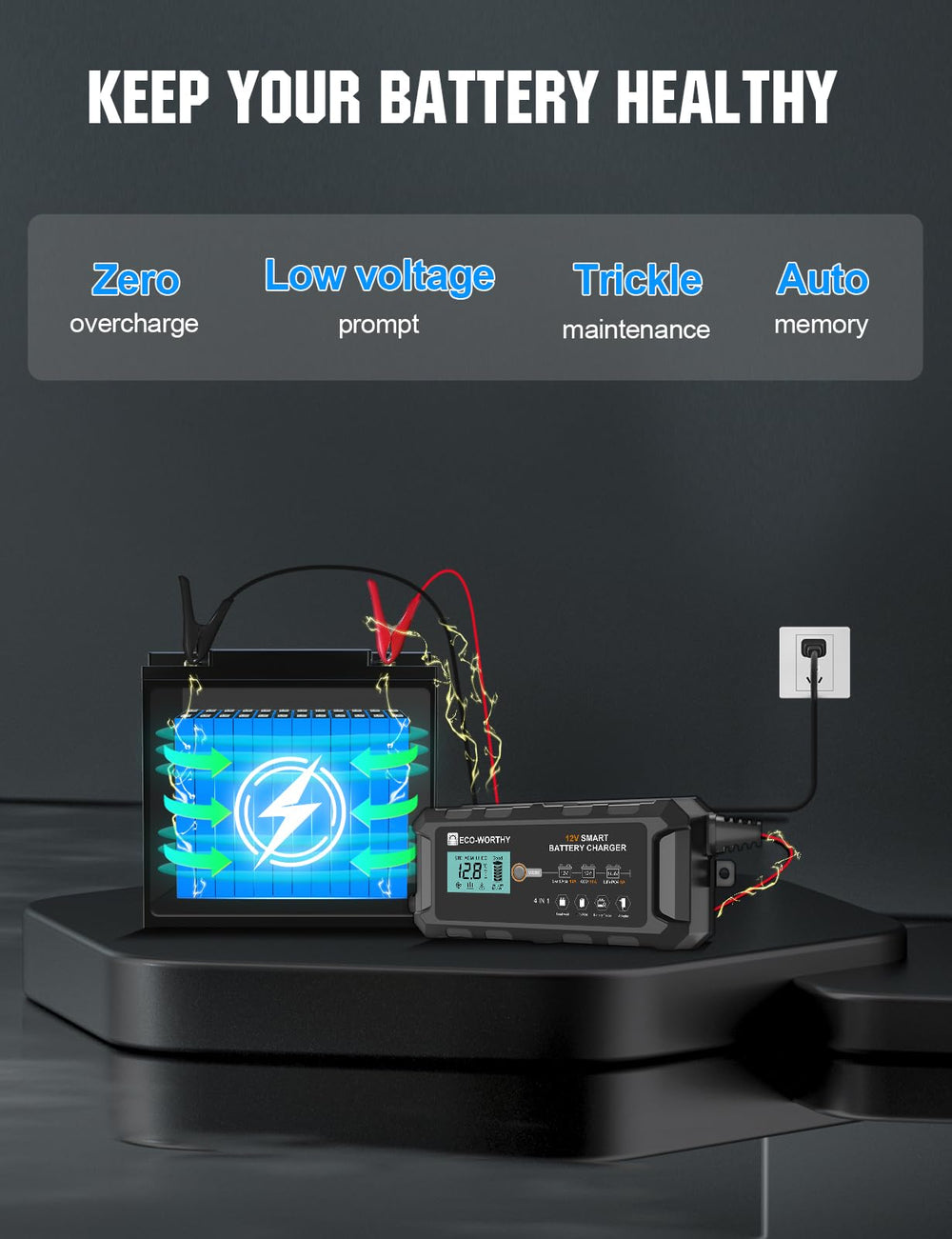 Eco-Worthy 10A LiFePO4 charger with included battery clips