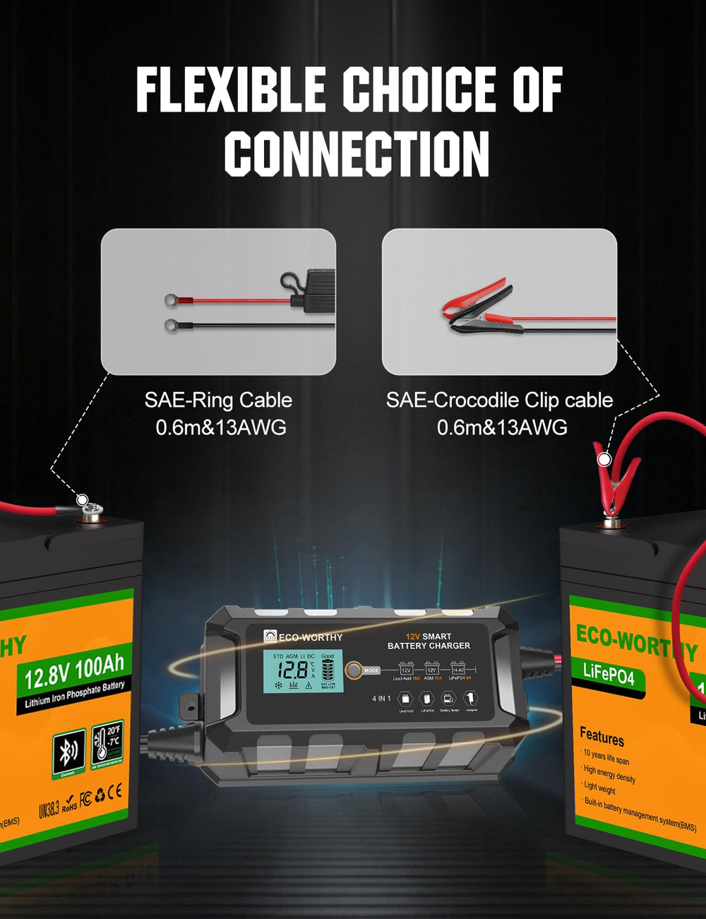 Eco-Worthy 10A LiFePO4 charger compatibility with diverse vehicles