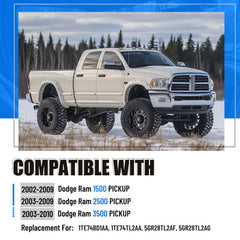 ECOTRIC passenger-side grab handle shown from a side view for Dodge Ram