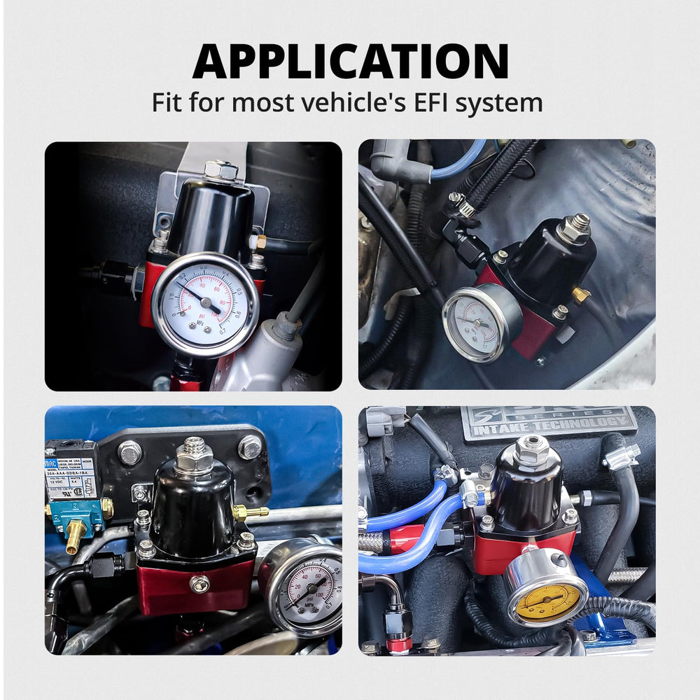 EVIL ENERGY complete regulator system ready for EFI setup