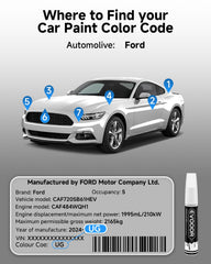 EVOOOR color-matching swatch demonstrates seamless blend with vehicle paint