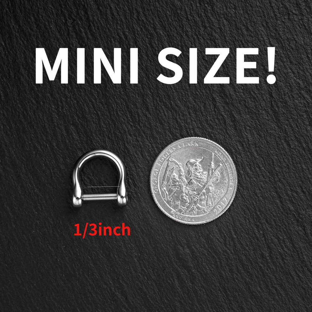 FEGVE mini D-ring attachment keeps small key fobs organized on the go.