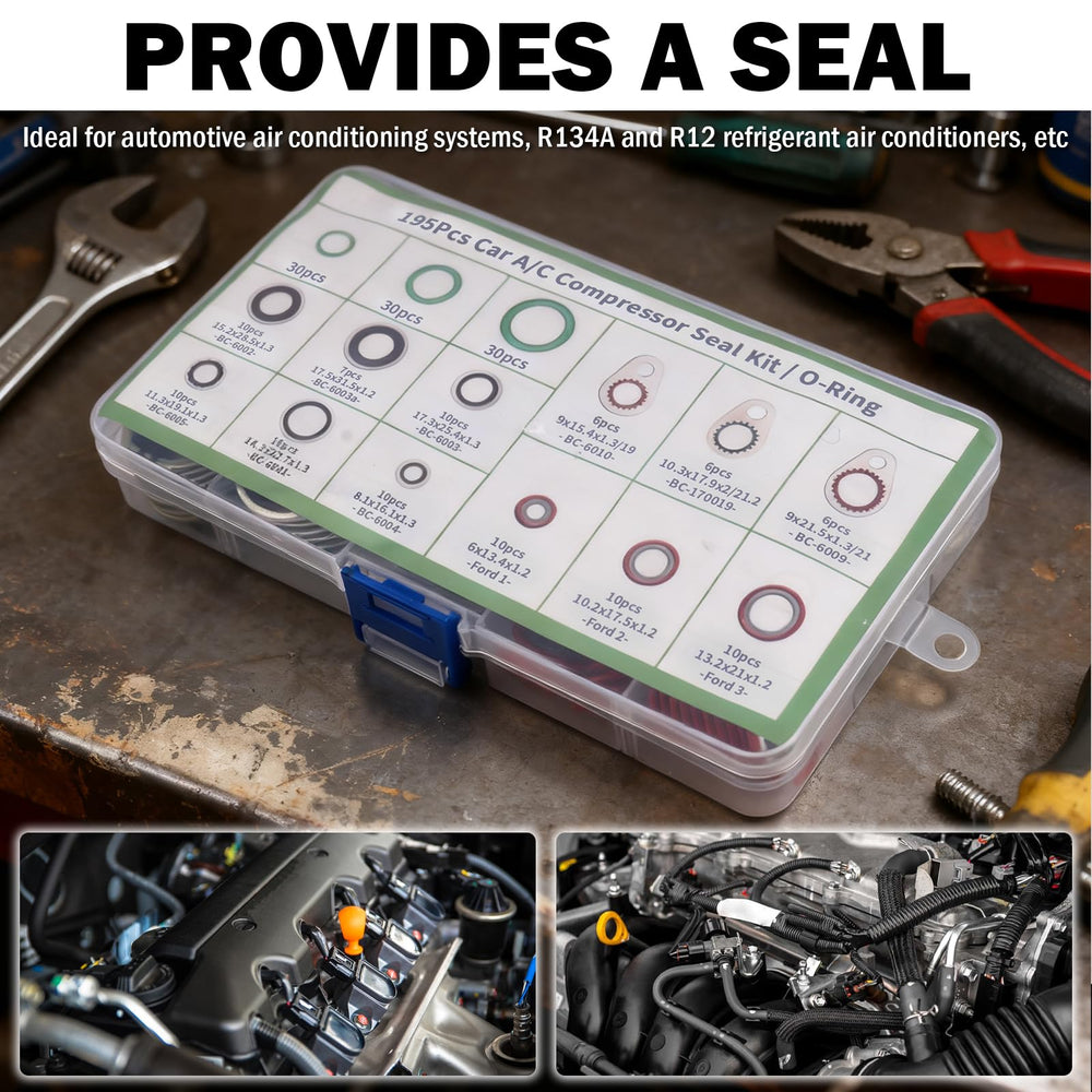 Figpade transparent storage box keeps sizes organized