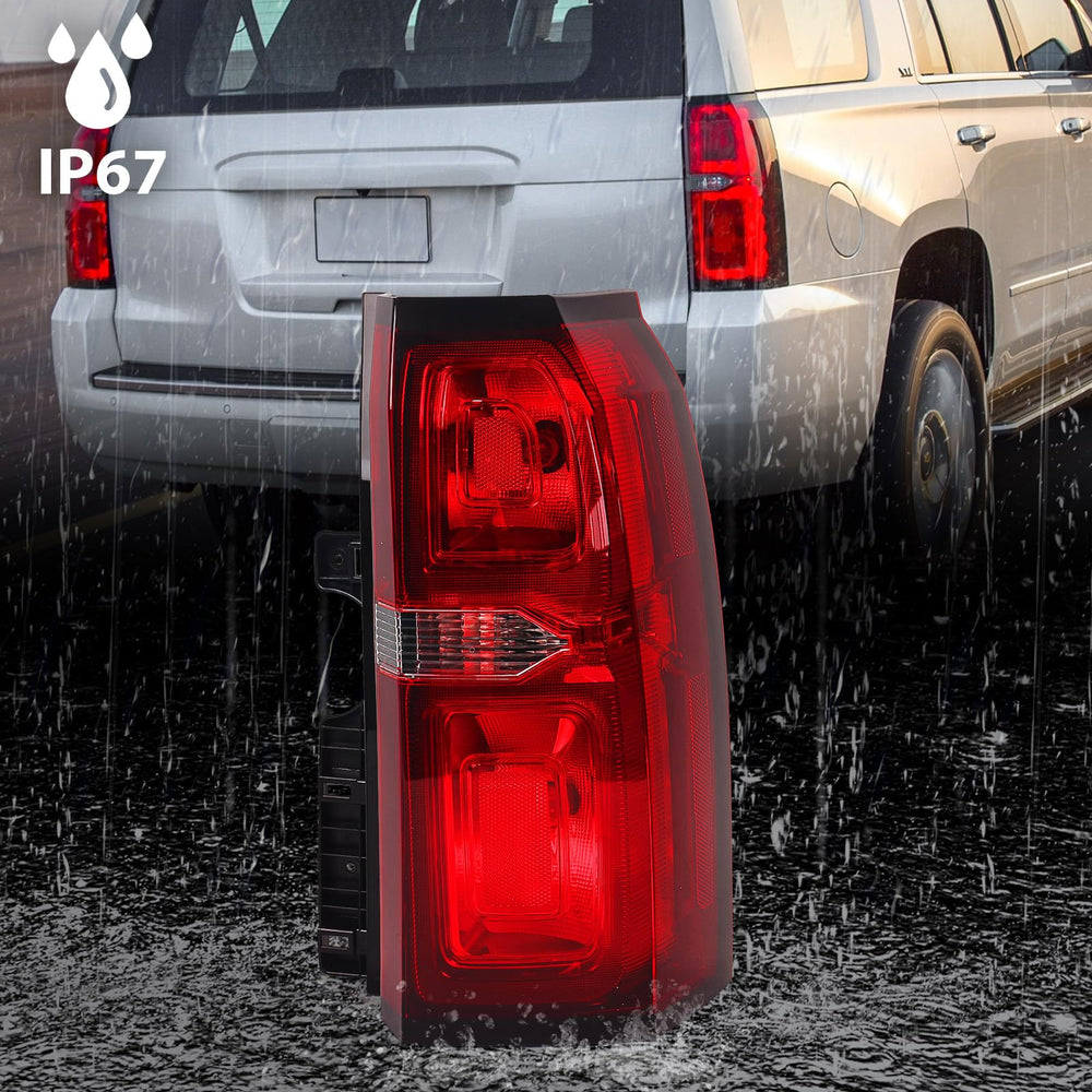 FIONE tail light assembly close view confirms fit and finish