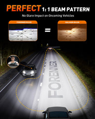 FORENNER H11 bulbs beam pattern shows wide coverage and clear cutoff