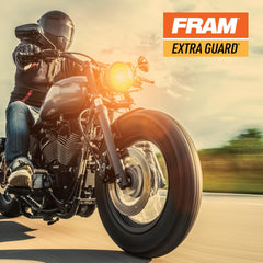 FRAM Extra Guard PH6022 filter media close-up, cellulose-glass blend for engine protection.