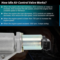 Illustrates compatibility range for Ford models and OE numbers