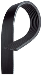 Gates K070701 V-Ribbed Belt close-up highlighting durable ribbed surface