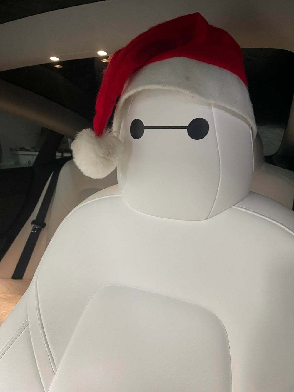 Generic 4.5 by 1 inch vinyl eyes deliver bold accents on seats.