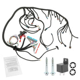 Gledewen standalone wiring harness with red/blue PCM for LS swap projects