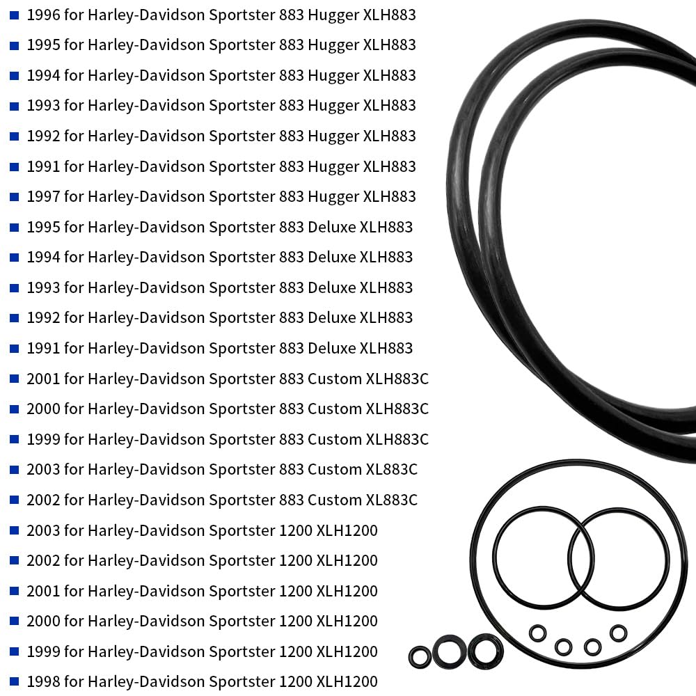 GOLKNHA engine efficiency maintenance concept for Sportster models.