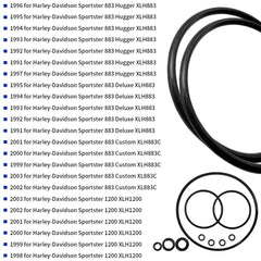 GOLKNHA engine efficiency maintenance concept for Sportster models.