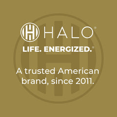 HALO Bolt Air carrying pouch keeps accessories organized