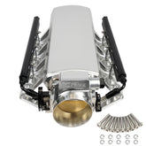 Htostar Racing LS intake manifold with 102mm inlet for cathedral-port engines.
