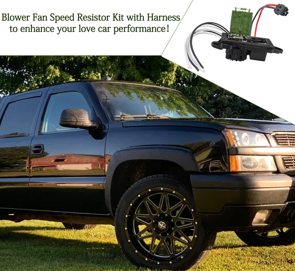 IVONNEY 1-year warranty badge and support