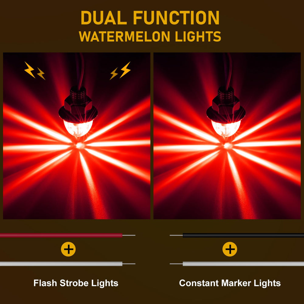 JZYZQBX mini watermelon lights front view highlighting high-brightness LED chips