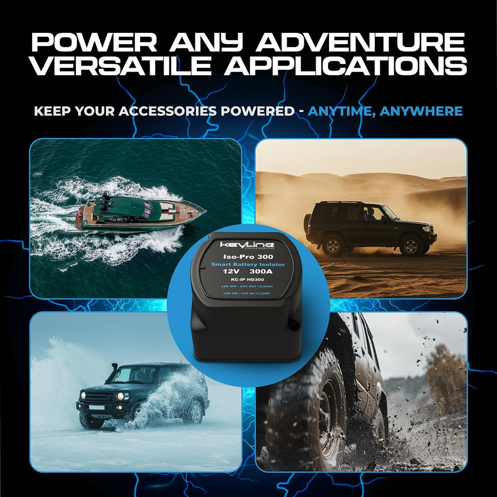 KeyLine Chargers works with lithium and LiFePO4.