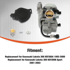 Labwork carburetor packaging shows complete replacement kit