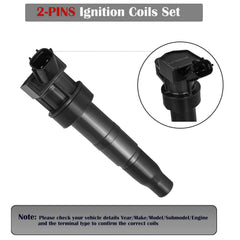 LCWRGS ignition coil pack close-up contacts—high-conductivity copper wire for stable spark.