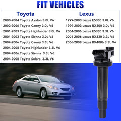 LCWRGS ignition coils packaging image with six coils