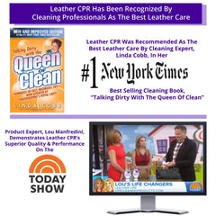 Leather CPR leather couch cleaning kit for car and furniture care