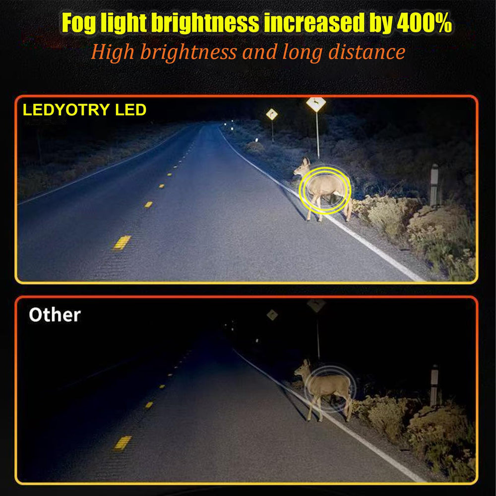 LEDYOTRY 4000LM 6000K cool white illumination for clearer fog visibility.