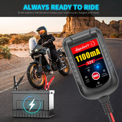 LEICESTERCN 3-year warranty badge included.