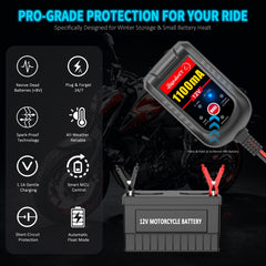 LEICESTERCN auto float maintenance keeps batteries healthy.