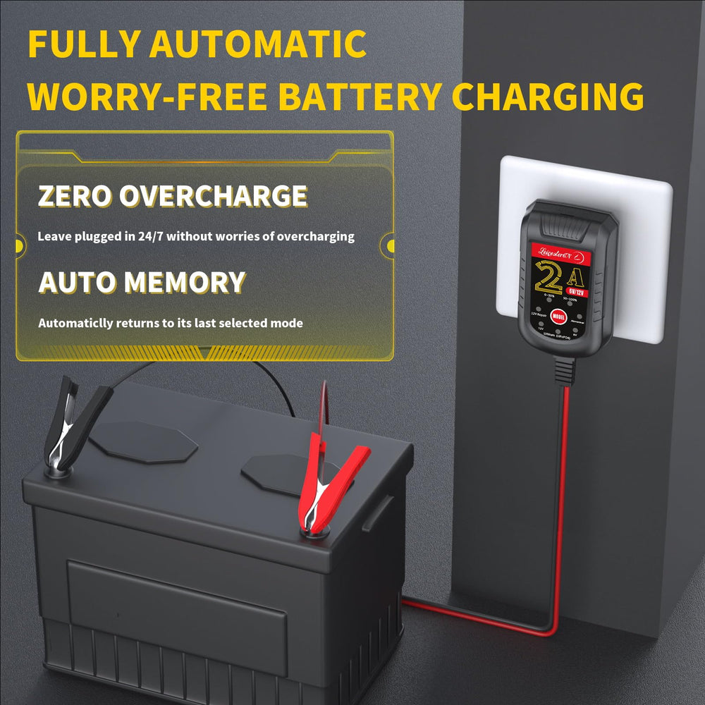 LEICESTERCN battery charger mode switch used to select 6V or 12V and chemistries